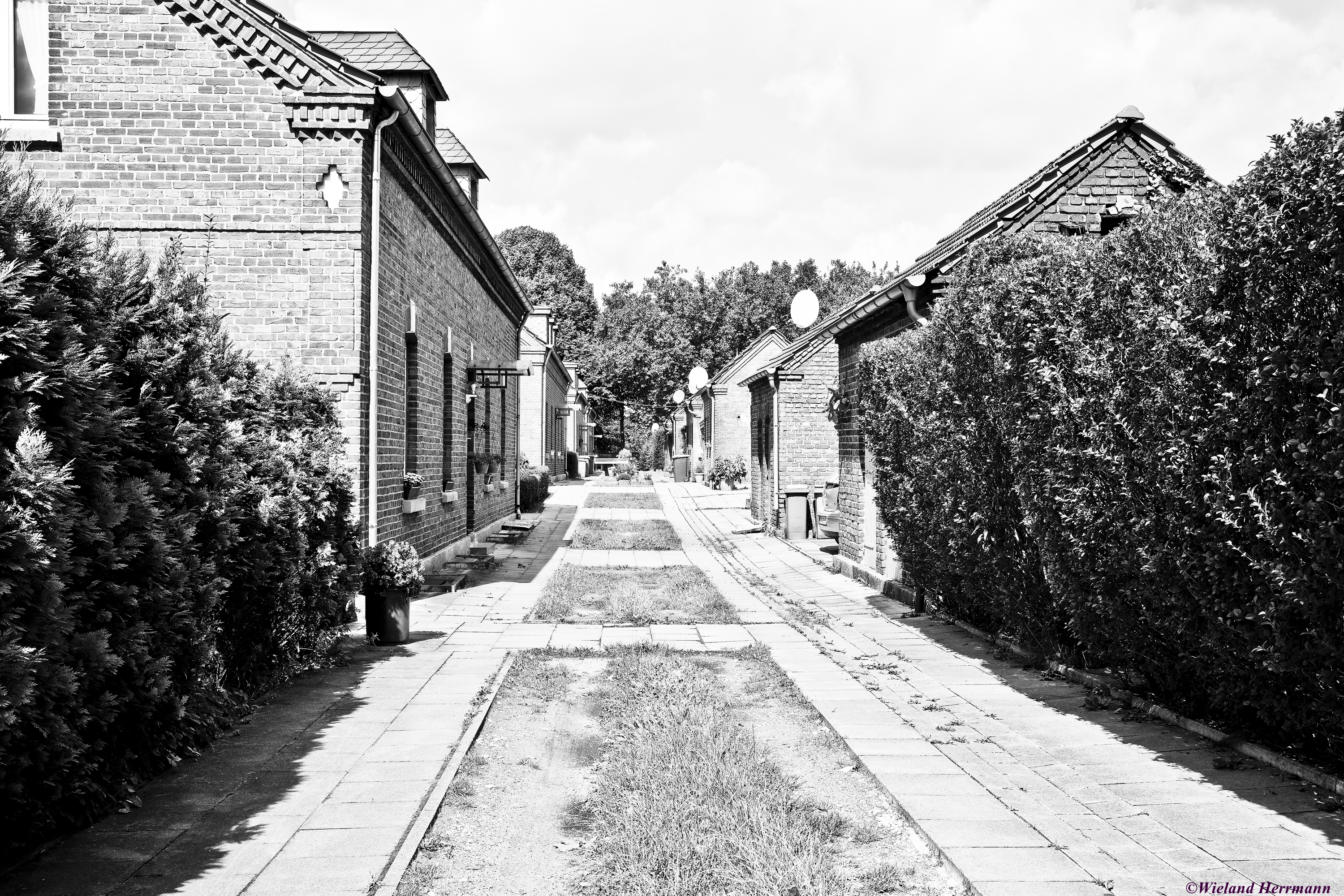 Stemmersberg 2014_02