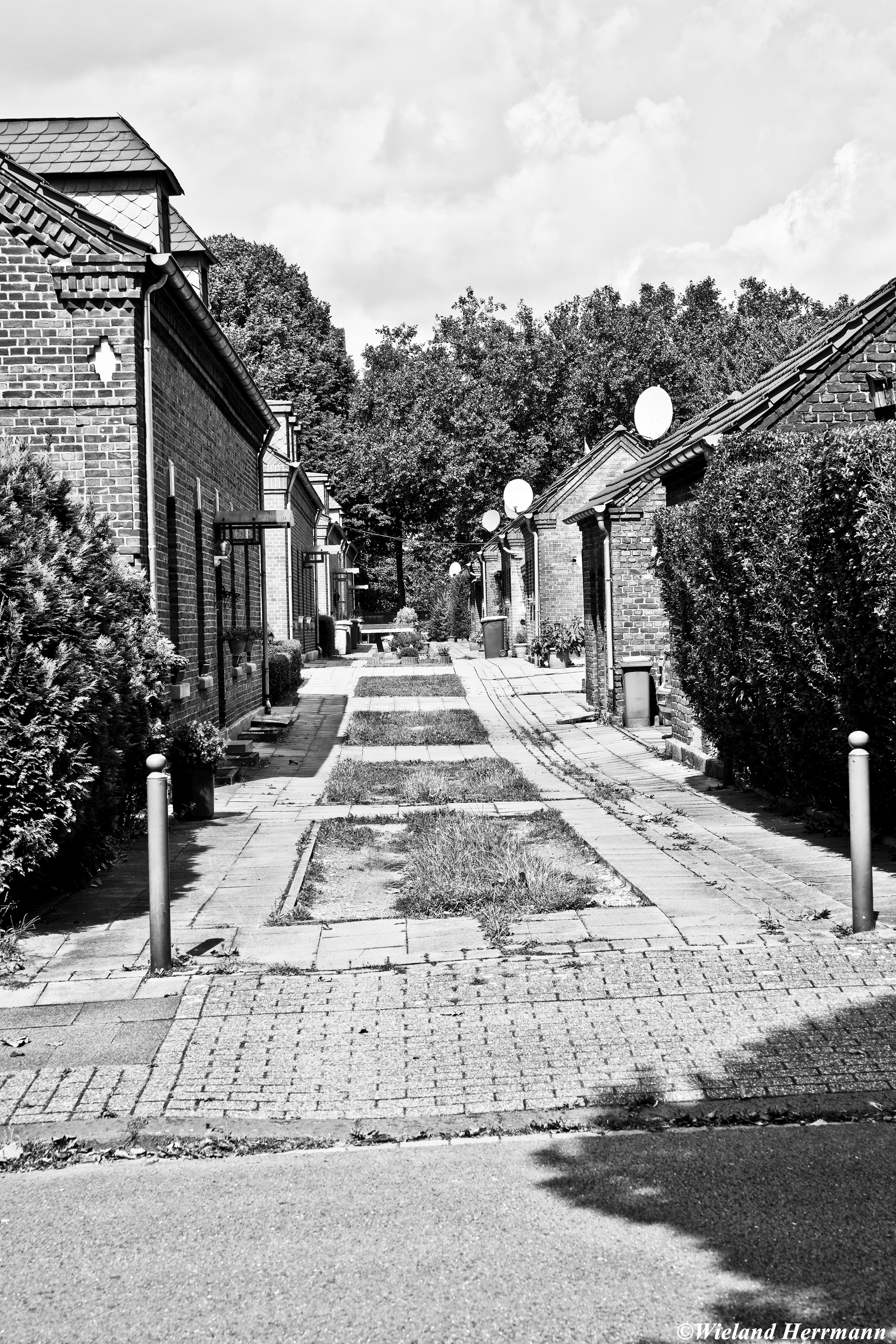 Stemmersberg 2014_03