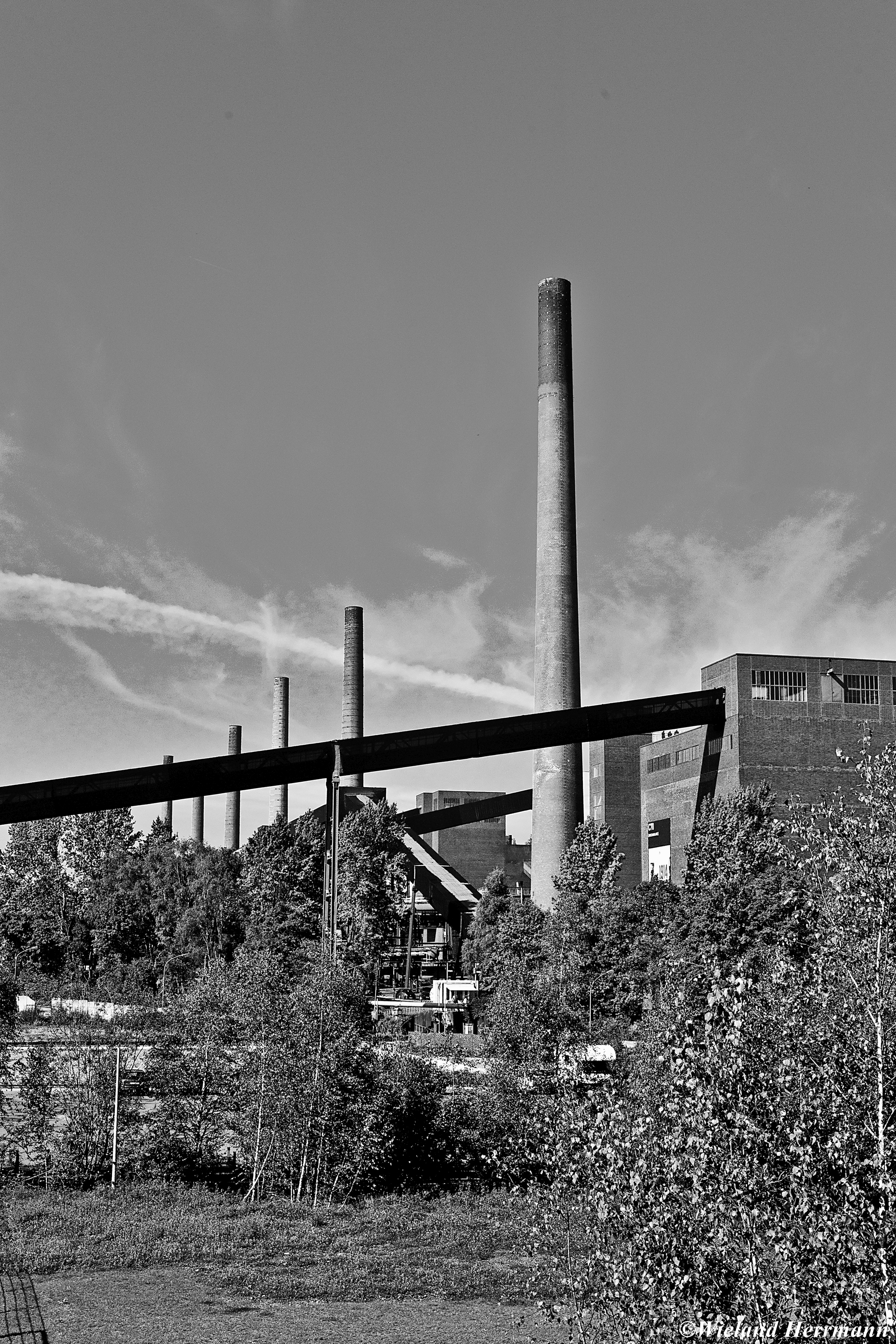 Zollverein 8/2014_24