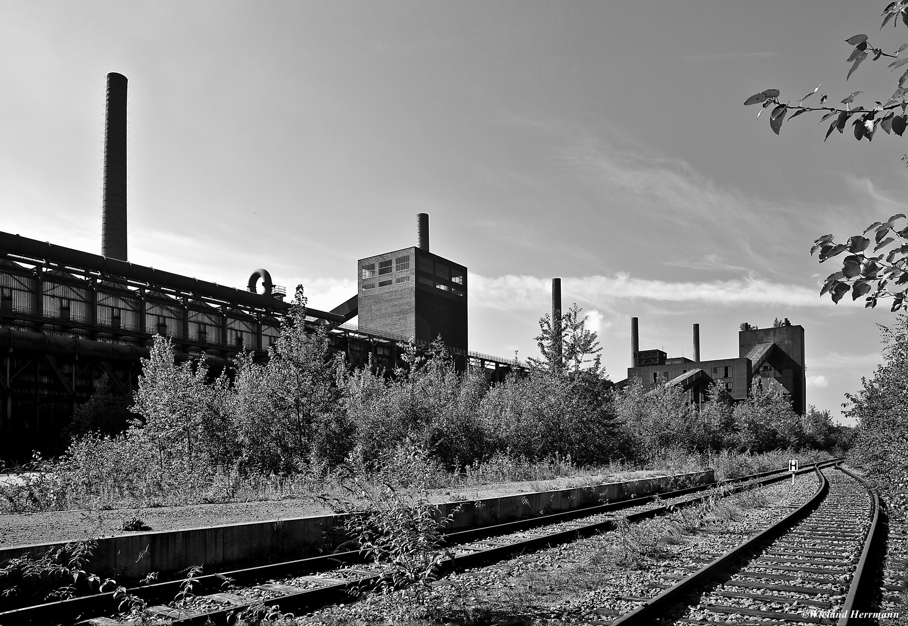 Zollverein 8/2014_25