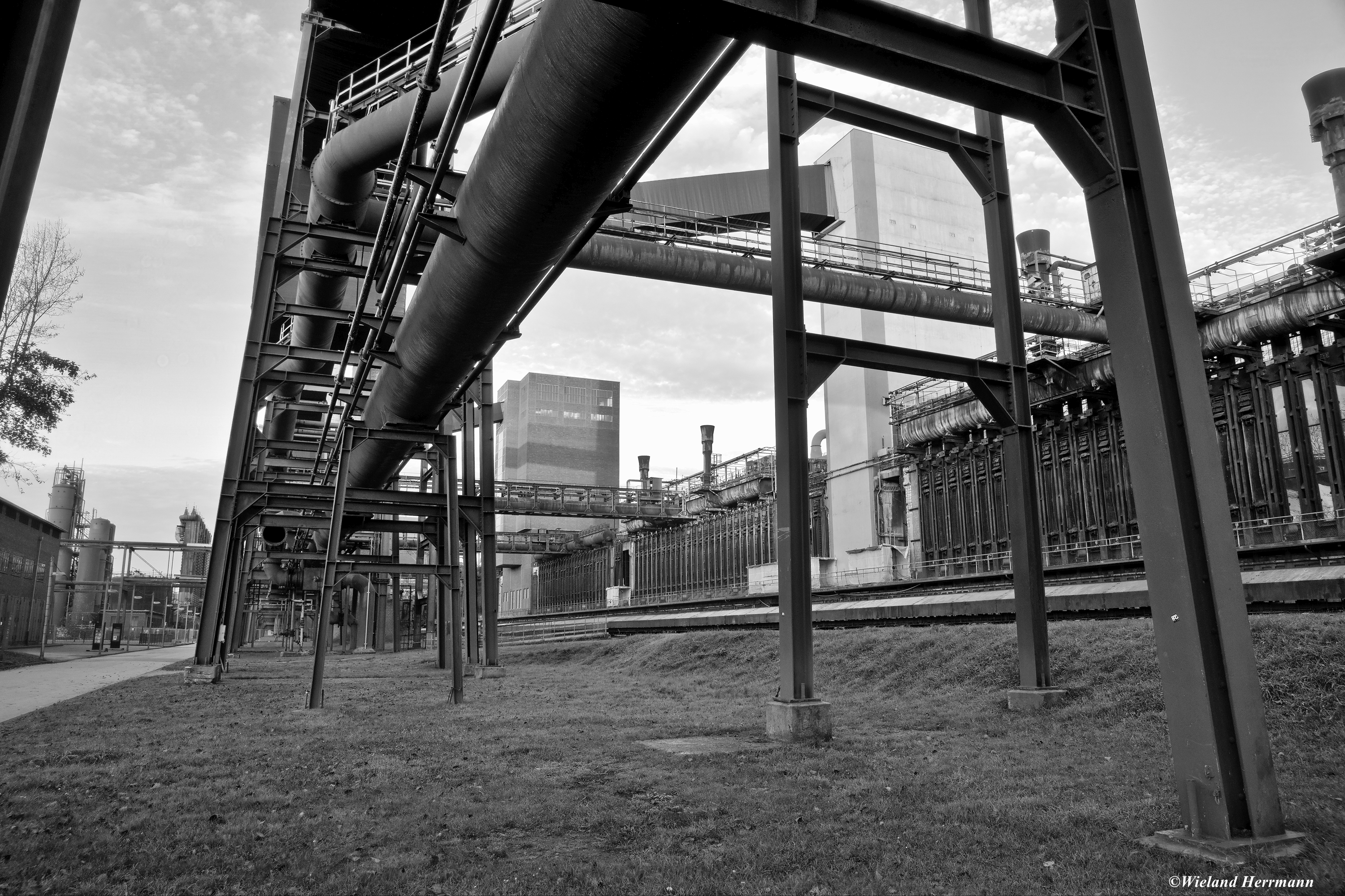 Zollverein 11/2014_04