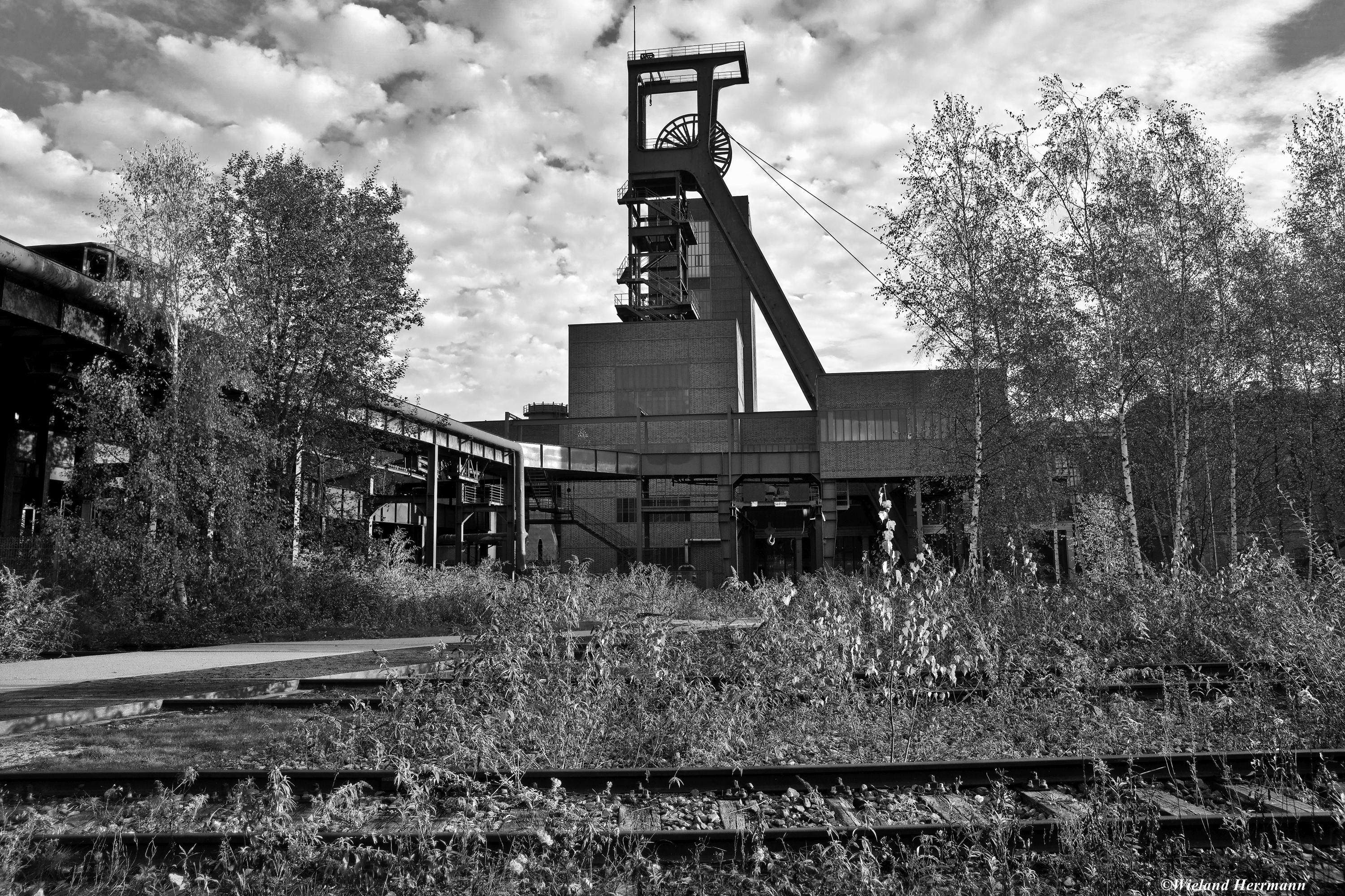Zollverein 11/2014_15