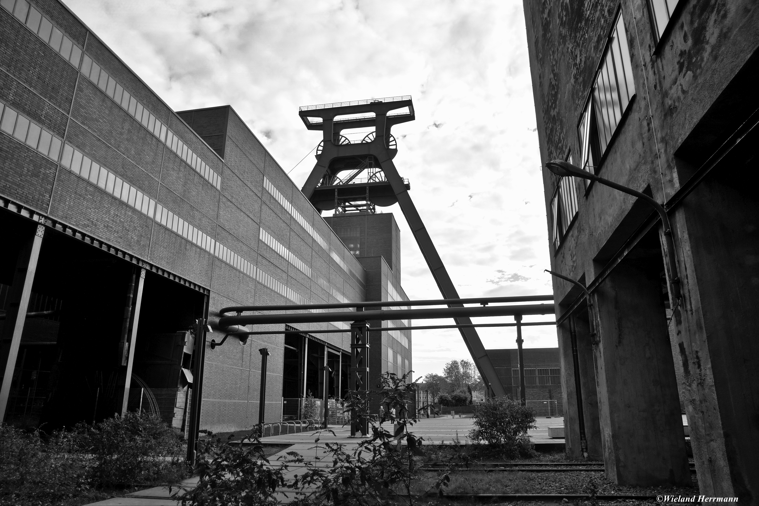 Zollverein 11/2014_21