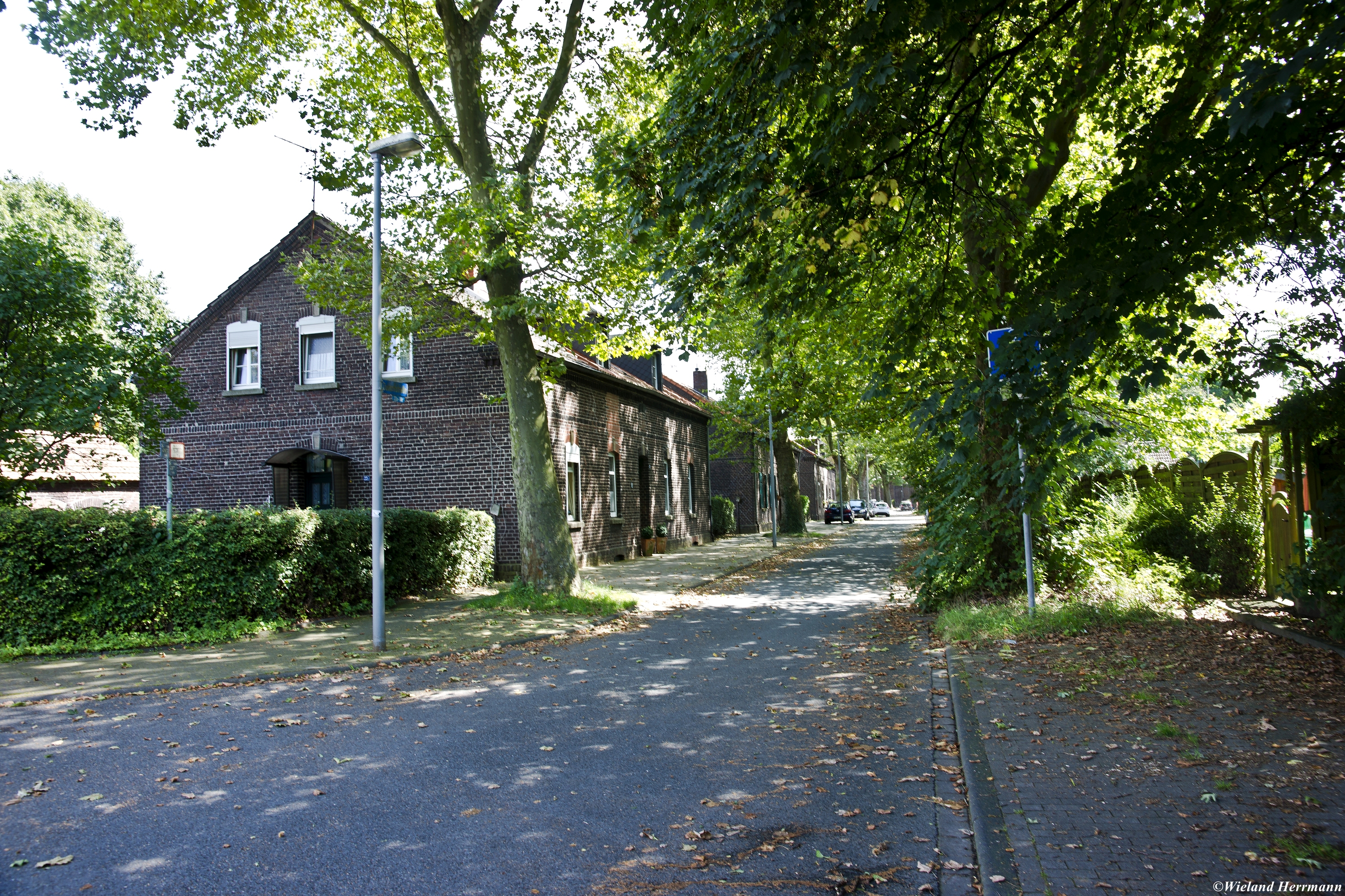 Dunkelschlag_09