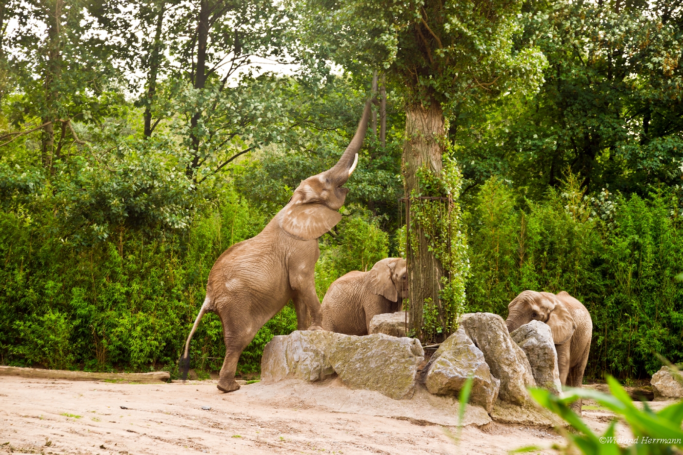 Zoo Duisburg 2010_02