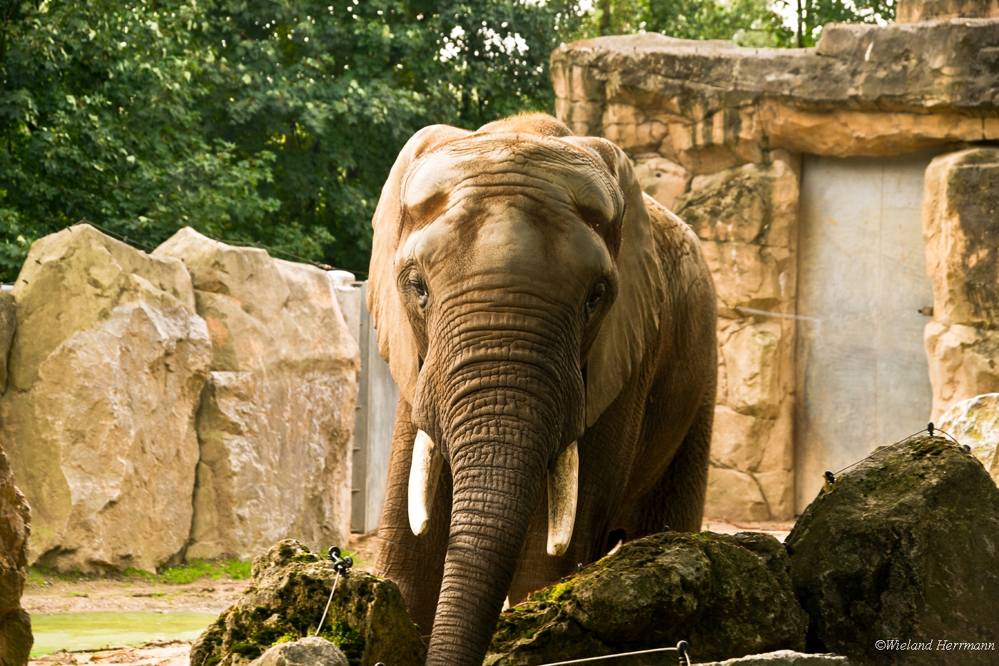 Zoo Duisburg 2010_04