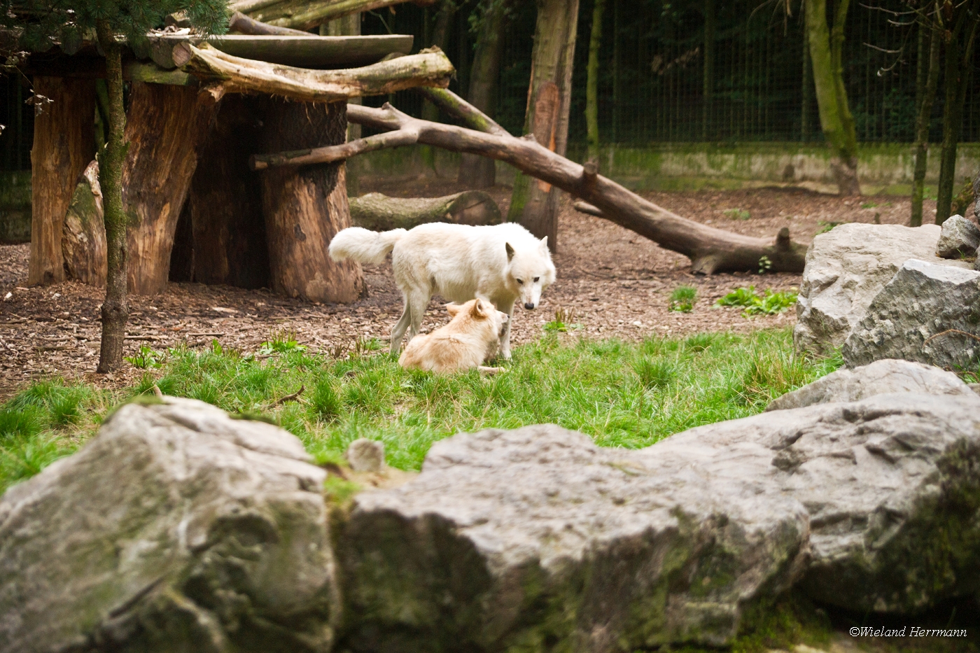 Zoo Duisburg 2010_05