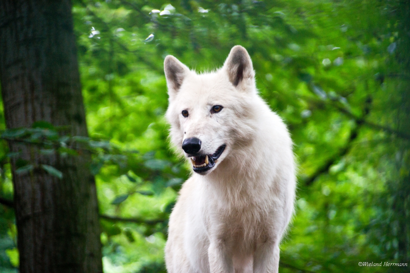 Zoo Duisburg 2010_07