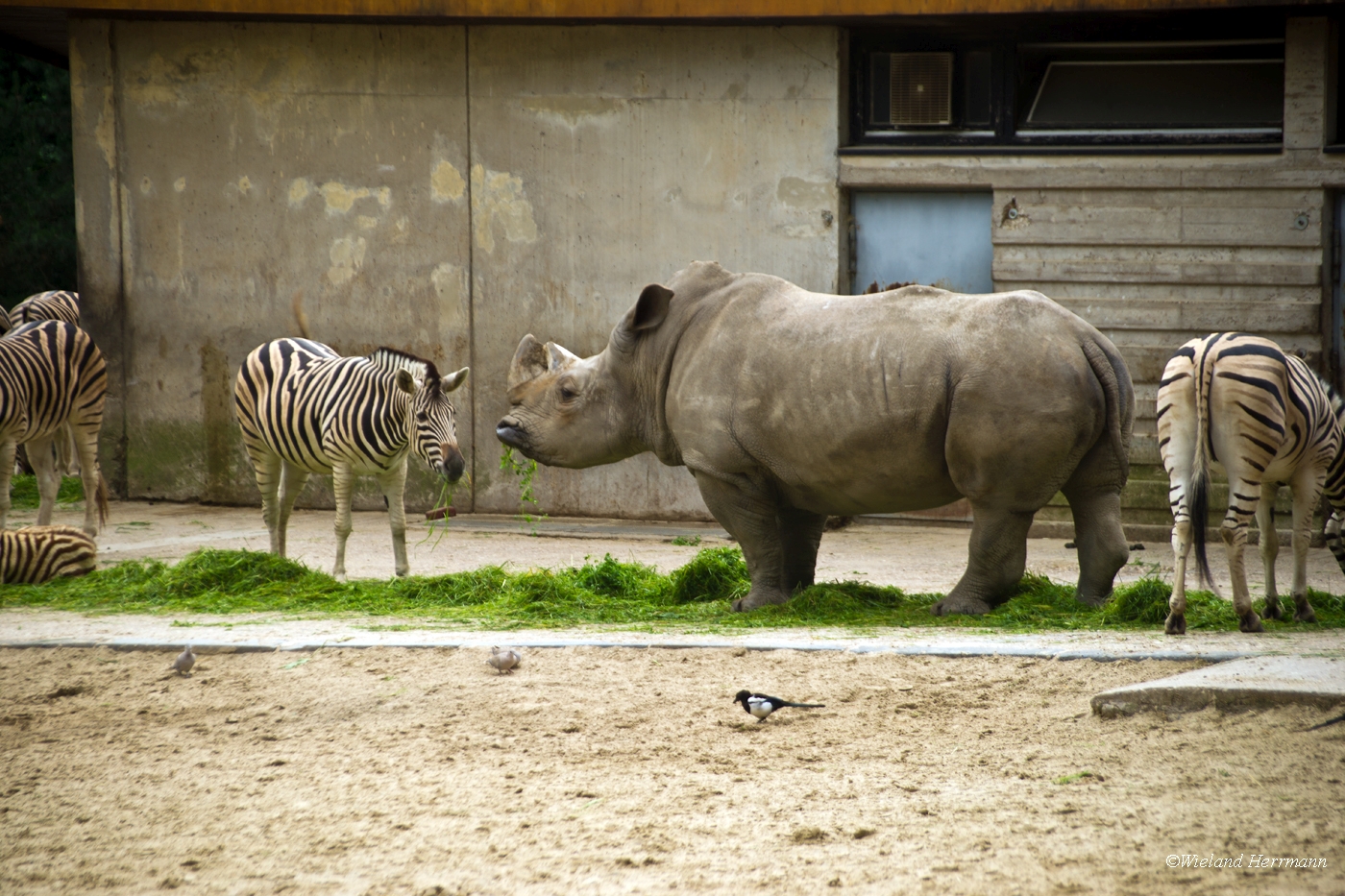 Zoo Duisburg 2010_10