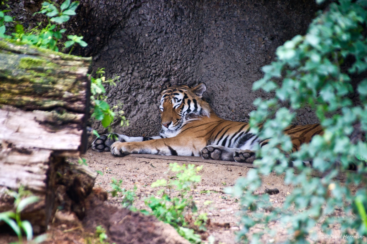 Zoo Duisburg 2010_13