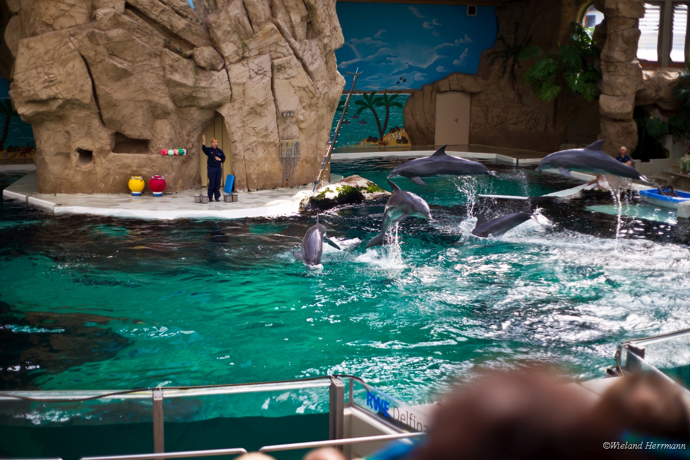 Zoo Duisburg 2010_14