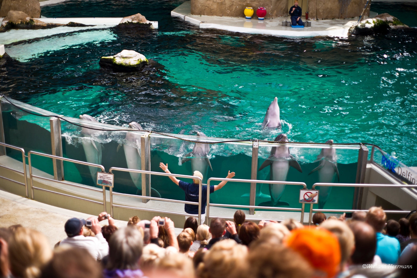 Zoo Duisburg 2010_16