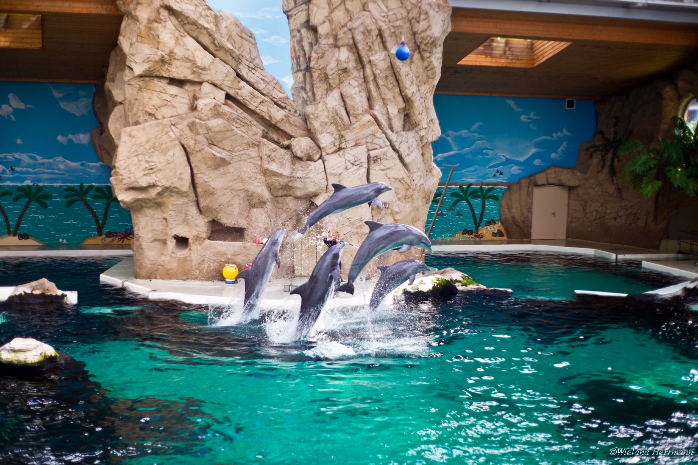 Zoo Duisburg 2010_17