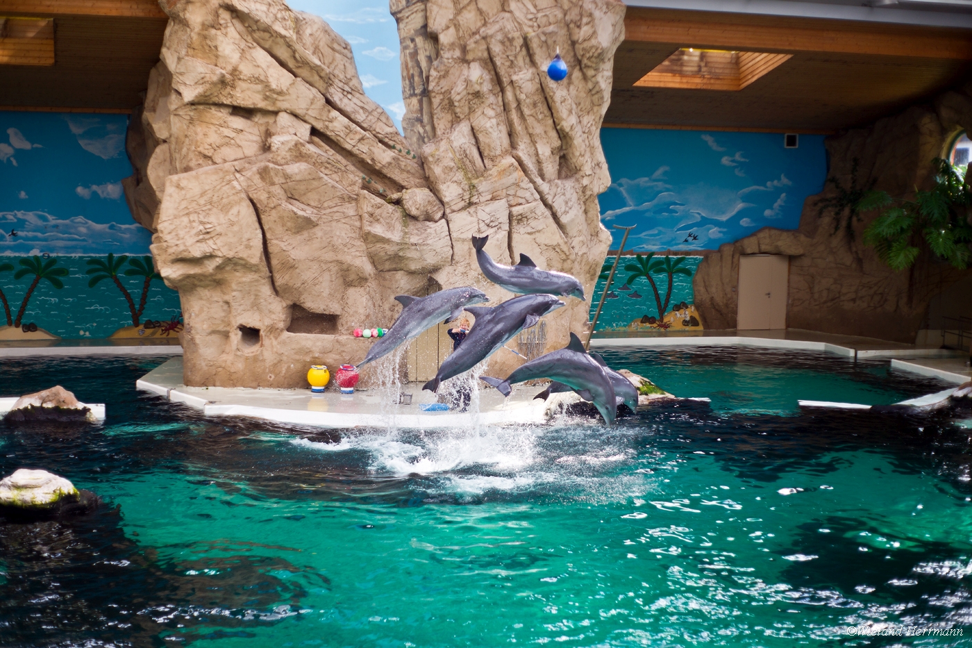 Zoo Duisburg 2010_18