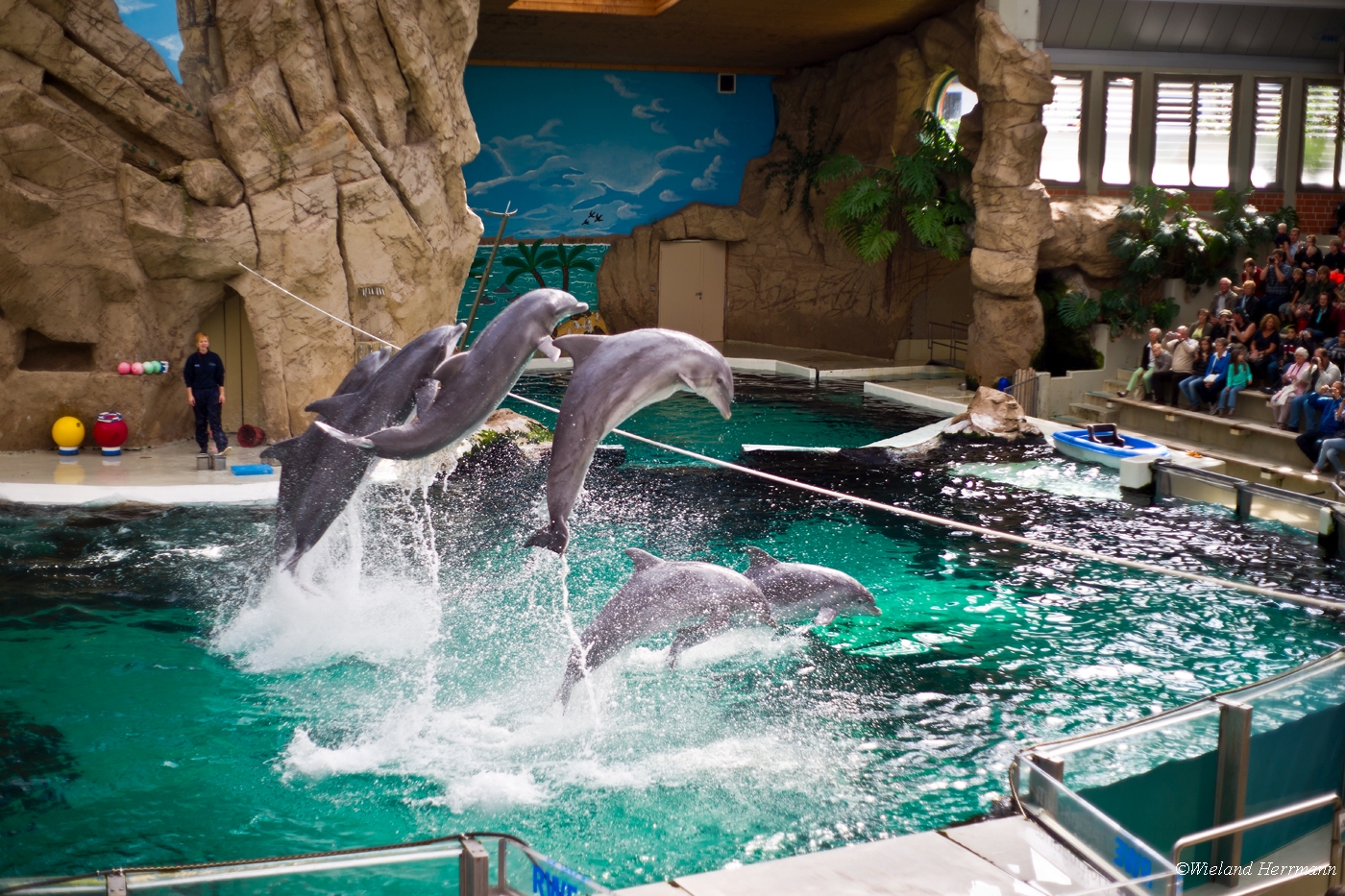 Zoo Duisburg 2010_19