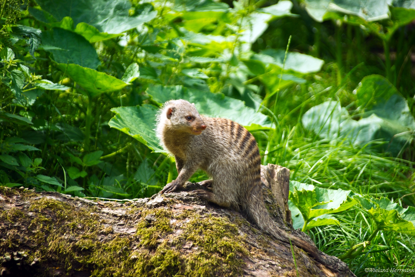 Zoo Duisburg 2010_22