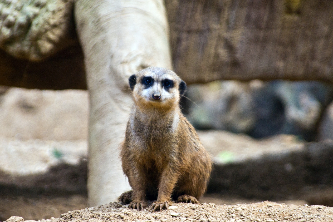 Zoo Duisburg 2010_23