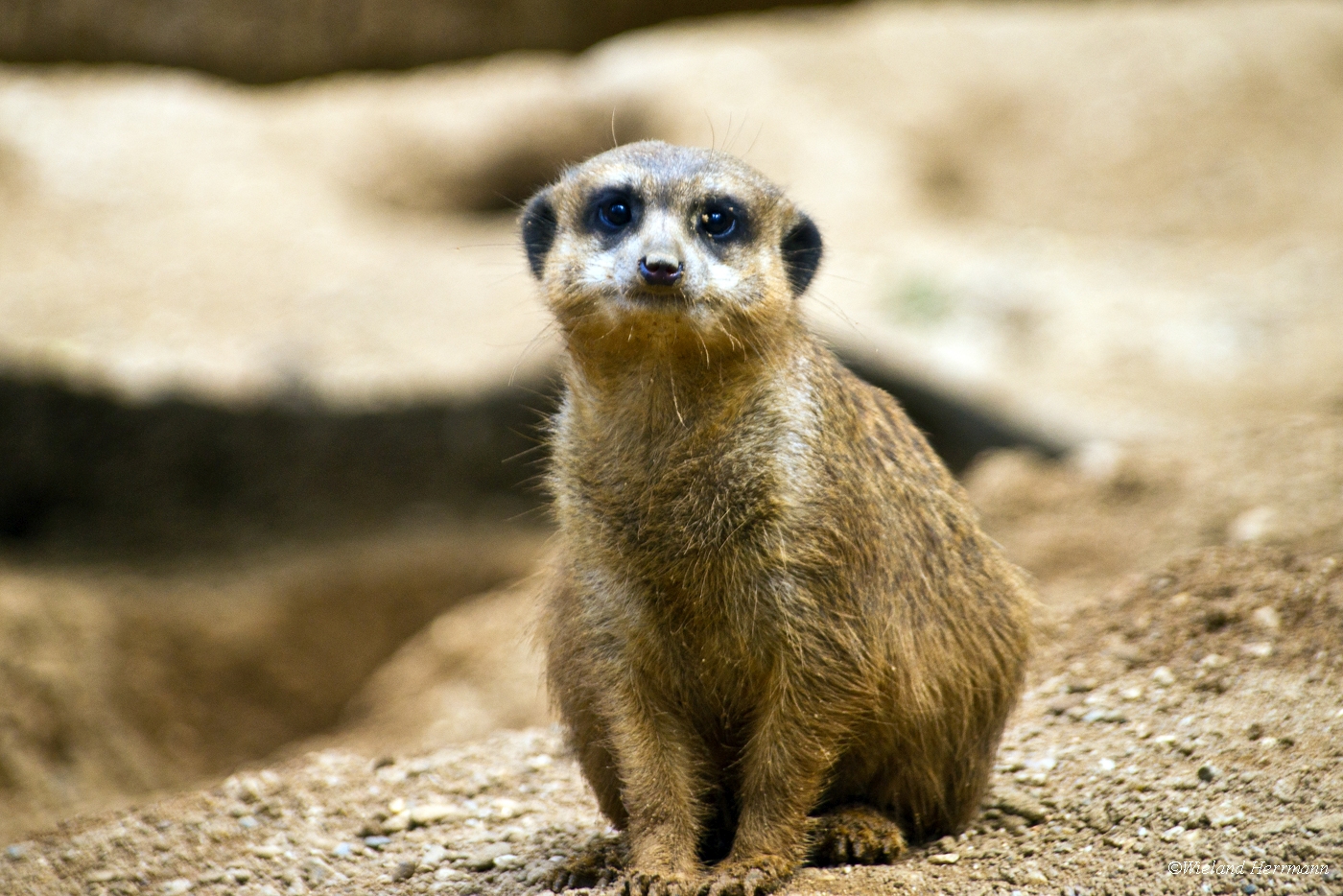 Zoo Duisburg 2010_24