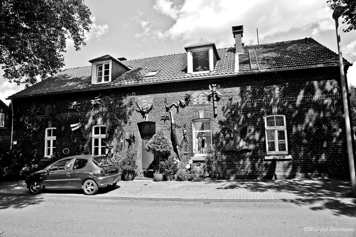 Siedlung Dunkelschlag_03