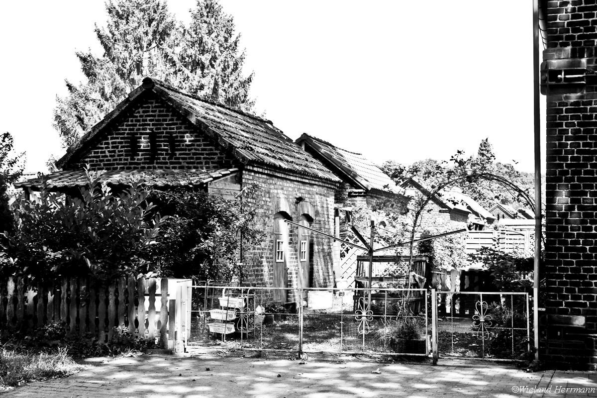 Siedlung Dunkelschlag_06