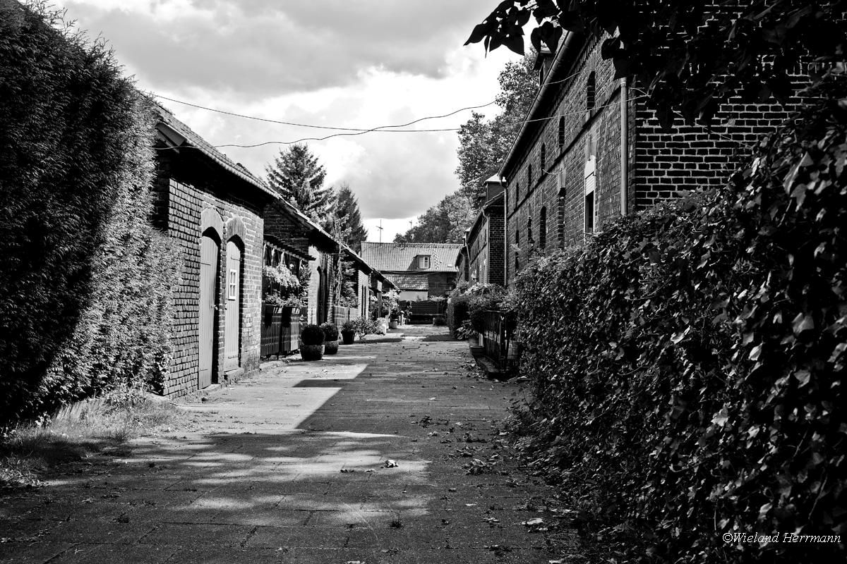 Siedlung Dunkelschlag_07