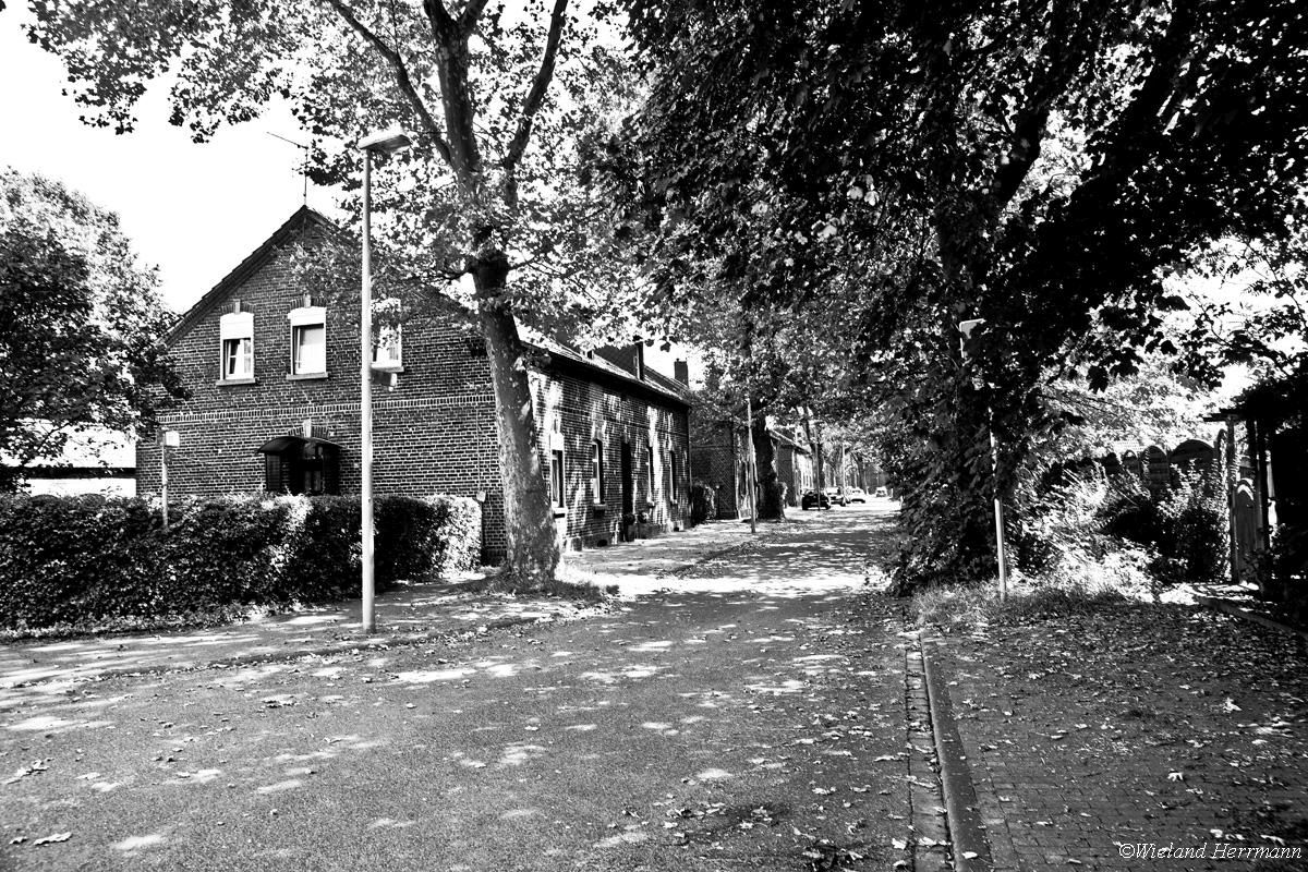 Siedlung Dunkelschlag_09