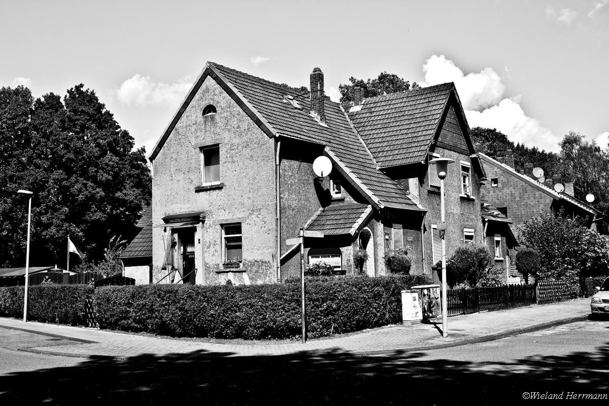 Siedlung Dunkelschlag_10