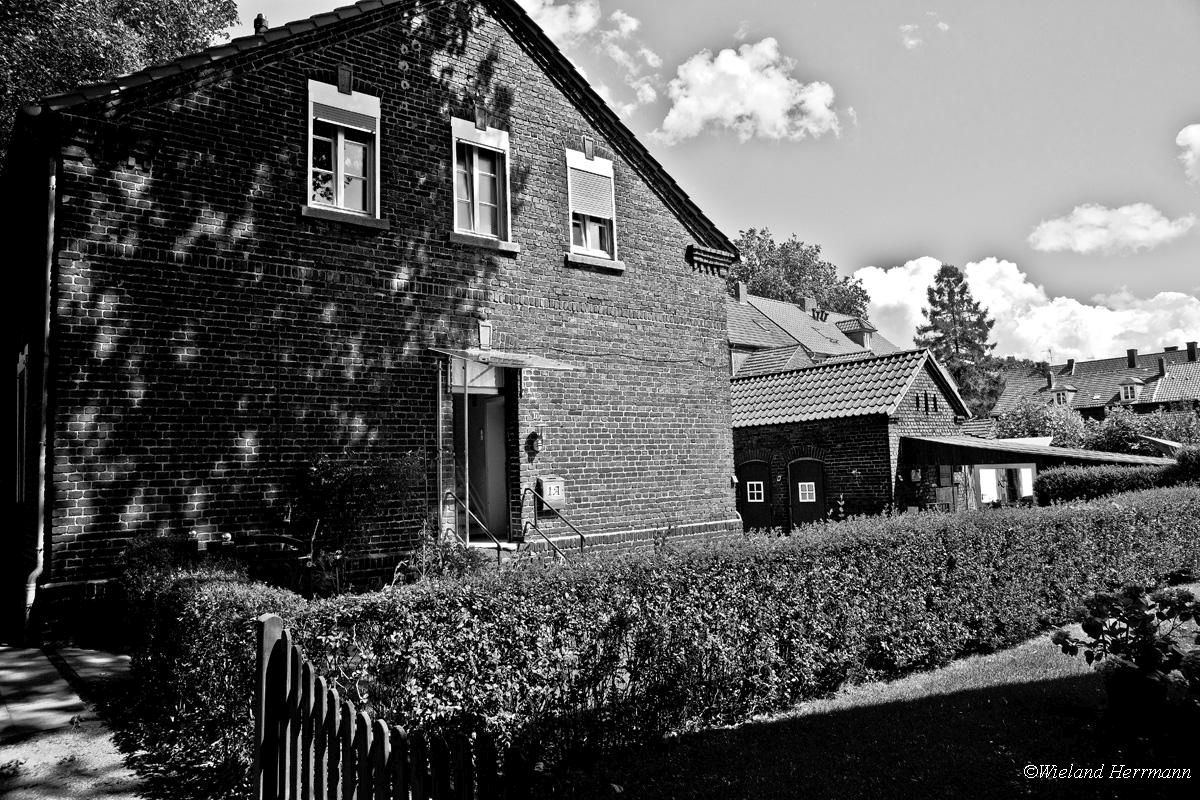 Siedlung Dunkelschlag_16