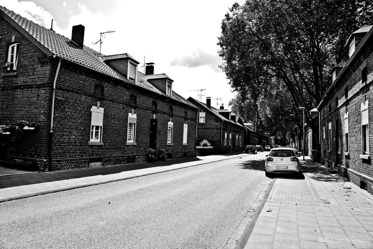 Siedlung Dunkelschlag_18