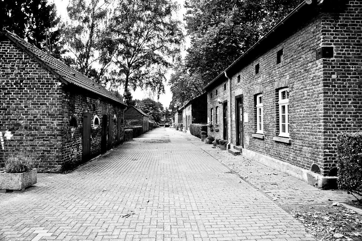 Siedlung Eisenheim_06