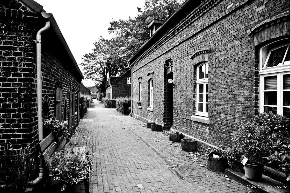 Siedlung Eisenheim_13