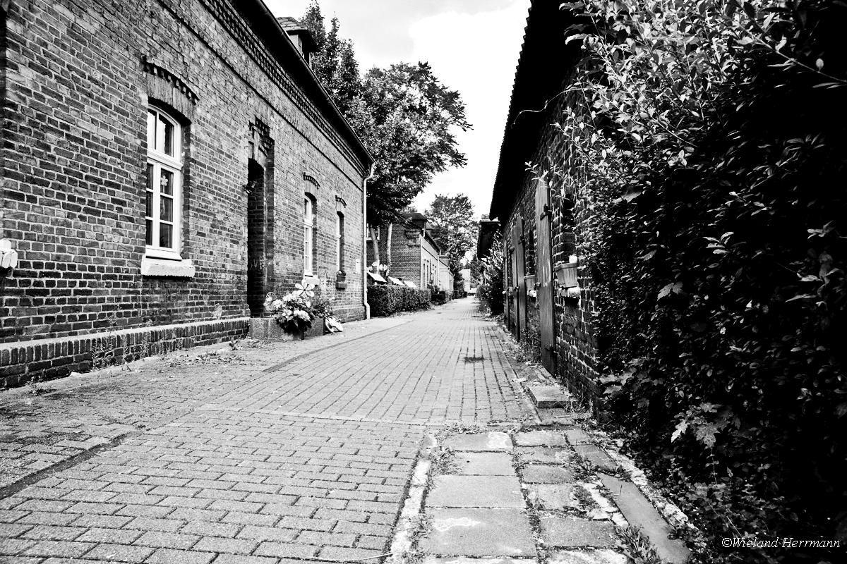 Siedlung Eisenheim_19