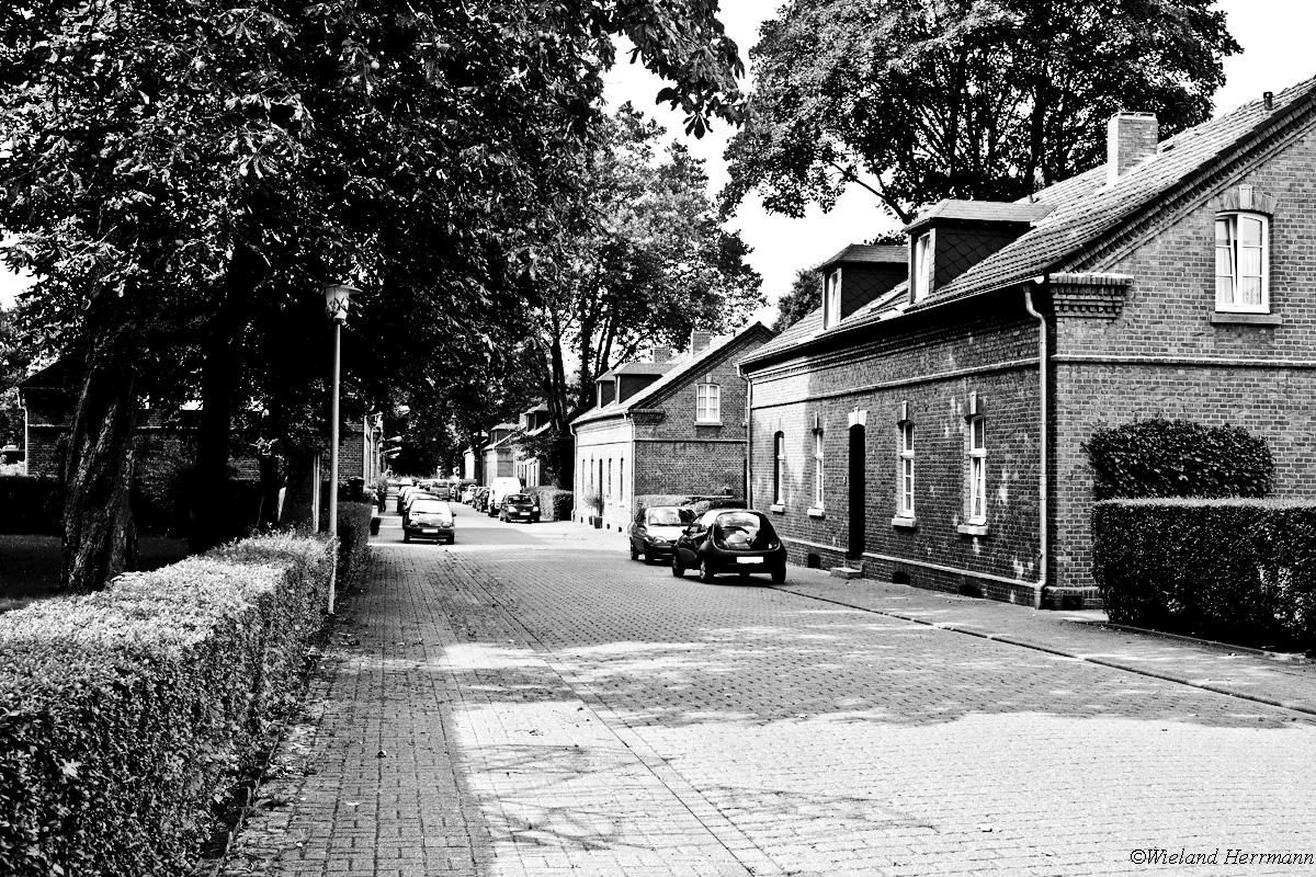 Siedlung Eisenheim_20