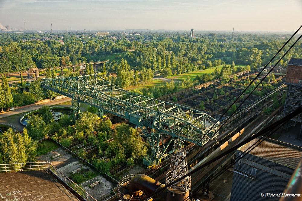 Landschaftspark_19