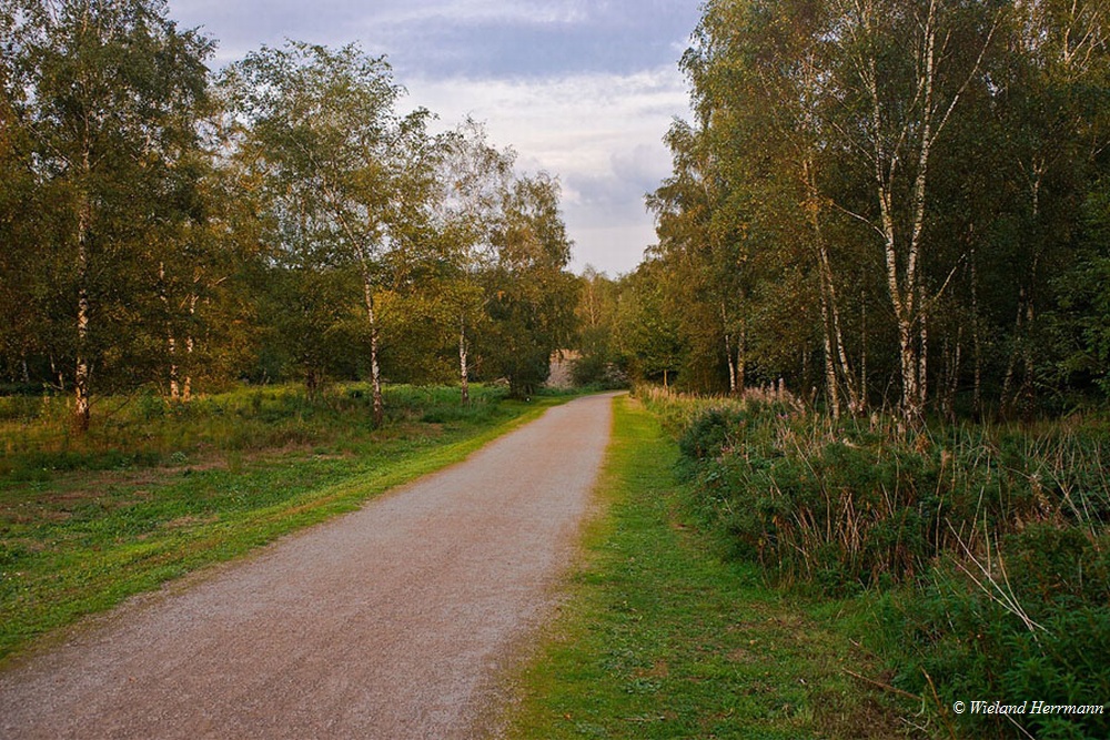 Gleispark Frintrop_2