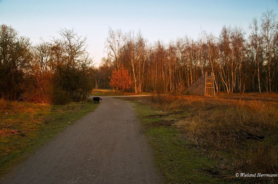 Gleispark Frintrop_4