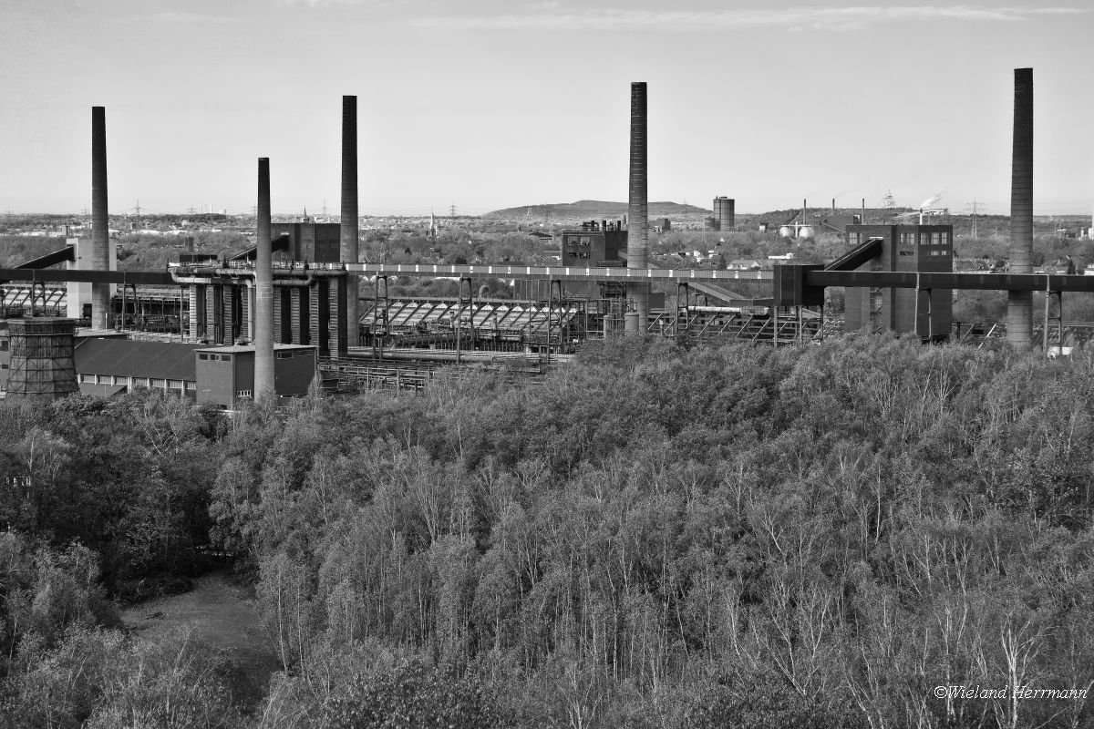 Kokerei Zollverein_22